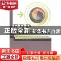 正版 ERP沙盘模拟对抗系统软件设计 徐亚文著 中国水利水电出版社