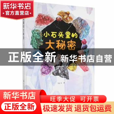 正版 小石头里的大秘密 马志飞著 中国大百科全书出版社 97875202