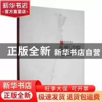 正版 纸理与色度:2017云南现代重彩画 云南艺术学院编 云南美术出