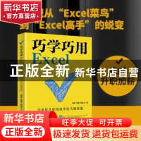 正版 巧学巧用Excel:迅速提升职场效率的关键技能 凌祯//安迪//