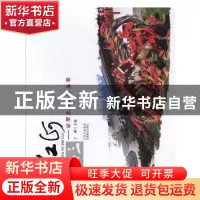 正版 红河十三:梁荣生摄影作品集 王剑主编 云南美术出版社 97875