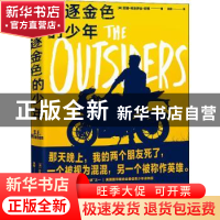 正版 追逐金色的少年 苏珊·埃洛伊丝·欣顿 浙江人民出版社 978721