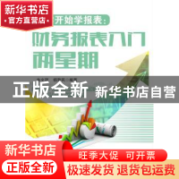 正版 从零开始学报表:财务报表入门两星期 朱文丽,杨黎民编著 广