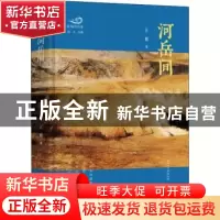 正版 河岳间(精)/浪淘沙诗库 王琪 中国书籍出版社 9787506884662