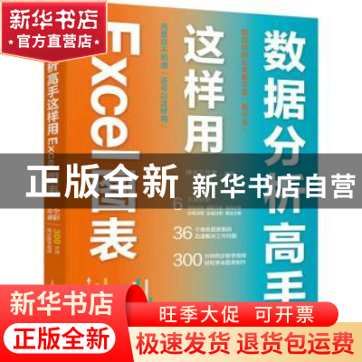 正版 数据分析高手这样用Excel图表 神龙工作室 人民邮电出版社 9