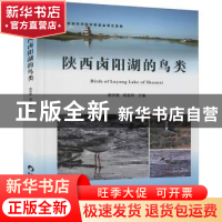 正版 陕西卤阳湖的鸟类(精) 高学斌,杨亚桥主编 陕西科学技术出