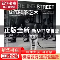 正版 街拍摄影艺术 (英)布赖恩·劳埃德·达克特(Brian Lloyd Ducke