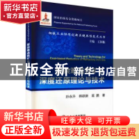 正版 复杂难选铁矿石深度还原理论与技术 孙永升,韩跃新,高鹏著