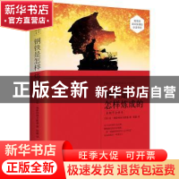 正版 钢铁是怎样炼成的:未删节全译本 (苏)尼·奥斯特洛夫斯基