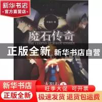 正版 魔石传奇:1:1:太阳石:Magic stones 叶瀚天著 上海三联书店