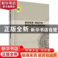 正版 复金兹堡-朗道方程系统的混沌与斑图控制 高继华,谢玲玲 科