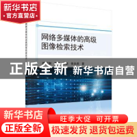 正版 网络多媒体的高级图像检索技术 颜成钢,李亮,高跃,张永兵