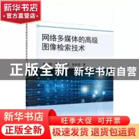 正版 网络多媒体的高级图像检索技术 颜成钢,李亮,高跃,张永兵