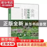 正版 洛阳湿地植物 叶永忠 河南科学技术出版社 9787534989797 书