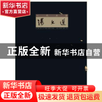 正版 一代大家汤文选 苏国强主编 湖北美术出版社 9787539462394