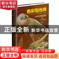 正版 色彩与光线:写实主义绘画指南:珍藏版 [美]詹姆斯·格尔尼 人