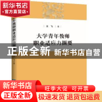 正版 大学青年教师职业适应力撷要 王飞 知识产权出版社 97875130