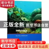 正版 印度尼西亚北苏拉威西海洋生态系统(英文版) Bin Chen,Dir