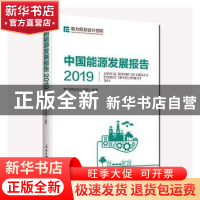 正版 中国能源发展报告:2019:2019 电力规划设计总院编著 人民日