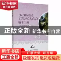正版 地下宝藏 (苏)阿·托尔斯泰(А.Толстой)著 黑龙江大