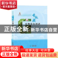正版 布依族药物彩色图谱 张敬杰,孙庆文主编 贵州科技出版社 97