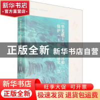 正版 华光礁Ⅰ号南宋沉船保护(Ⅰ期)与研究 包春磊 文物出版社