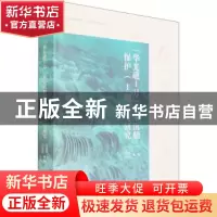 正版 华光礁Ⅰ号南宋沉船保护(Ⅰ期)与研究 包春磊 文物出版社