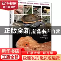 正版 世界爬行动物图鉴 [日]海老沼刚 人民邮电出版社 9787115582