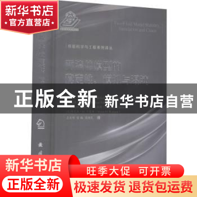 正版 两流体模型的稳定性模拟与混沌(精)/核能科学与工程系列译丛