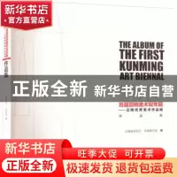 正版 2012首届昆明美术双年展——云南优秀美术作品展作品集 云南