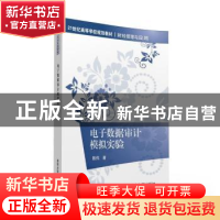 正版 电子数据审计模拟实验 陈伟 清华大学出版社 9787302435563