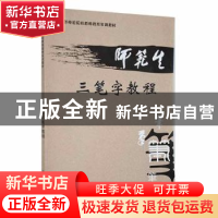 正版 师范生三笔字教程 张永亮主编 陕西师范大学出版总社 978756