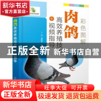 正版 彩色图解肉鸽高效养殖技术+视频指导 编者:卜柱//汤青萍|责