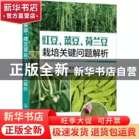正版 豇豆菜豆荷兰豆栽培关键问题解析 何永梅 化学工业出版社 97