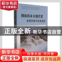 正版 河南省水文现代化发展思路与实现途径 岳利军,王冬至,冯瑛