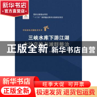 正版 三峡水库下游江湖水沙交换与滩群整治 陆永军,左利钦,赖锡军