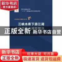 正版 三峡水库下游江湖水沙交换与滩群整治 陆永军,左利钦,赖锡军