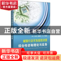 正版 城镇片区开发投资决策综合性咨询理论与实务(2021版) 王廷先
