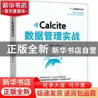 正版 Calcite数据管理实战/大数据技术丛书 刘钧文,悟初境,孙潇俊