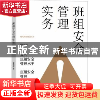 正版 班组安全管理实务 谢振华 中国工人出版社 9787500877394 书