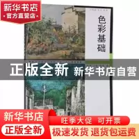 正版 色彩基础 张奇,丁亮,姚亮著 同济大学出版社 978756084261