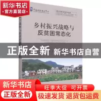 正版 乡村振兴战略与反贫困常态化 谭卫平,左停 中国农业出版社 9