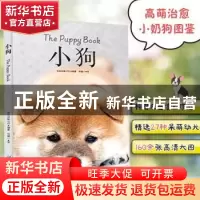 正版 小狗 日本日贩IPS 编著 何凝一 译 书中缘 出品 贵州科技出