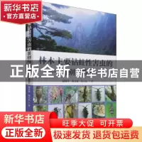 正版 林木主要钻蛀性害虫的鉴别与防控 赵锦年,俞文仙,何玉友 中