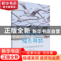 正版 了不起的候鸟驿站——官厅水库湿地探索手册 新生态工作室