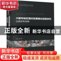 正版 大都市地区镇村发展模式创新研究(以武汉市为例)/中国城市建