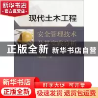 正版 现代土木工程安全管理技术及其实践分析 杨德磊 著 水利水电