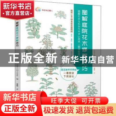 正版 图解庭院花木修剪技巧/养花那点事儿 [日]日本主妇之友社 机
