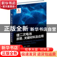 正版 锂二次电池原理、关键材料及应用 中国化工学会,孙克宁,张乃