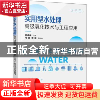 正版 实用型水处理高级氧化技术与工程应用 孙承林 化学工业出版
